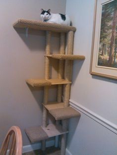 a cat is laying on top of a cat tree in the corner of a room