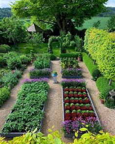 a garden filled with lots of different types of flowers and plants growing in rows next to each other