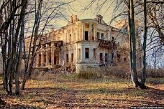 an old abandoned house in the woods with no leaves on it's ground and bare trees