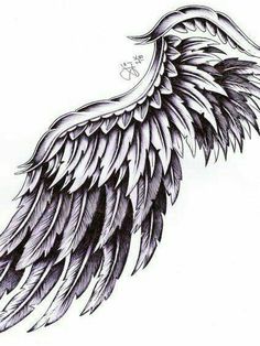 a drawing of an angel wing