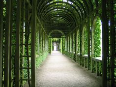 the walkway is lined with trees and plants