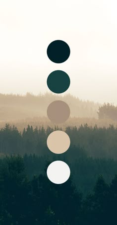 a group of circles hanging from the ceiling in front of trees and foggy sky