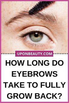 Growing Out Eyebrows, Grow Your Eyebrows, Fix Eyebrows, Regrow Eyebrows, Eyebrow Hair Growth, Grow Eyebrows Thicker, Bad Eyebrows, Makeup Tips For Older Women