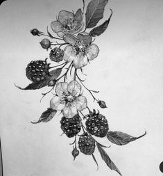 a black and white drawing of berries and flowers