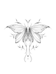 a black and white drawing of a butterfly