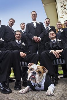 a group of men in suits and ties posing for a photo with a bulldog wearing a suit