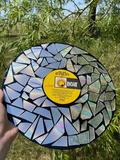 a person holding up a mosaic glass plate in front of some bamboo trees and grass