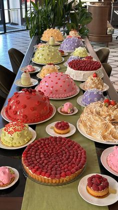 a long table filled with lots of different cakes and pies on top of plates