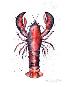 a watercolor painting of a lobster