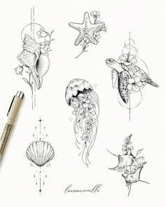 an ink drawing of sea animals and seashells