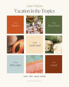 the cover of color palette vacation in the tropics, featuring many different colors