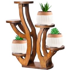 three tiered wooden plant stand with two succulents and one potted plant