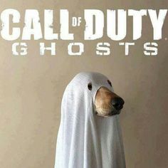 a dog in a ghost costume with the words call of duty ghosts