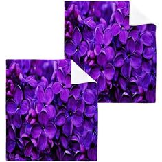 purple flowers are arranged in the shape of two squares