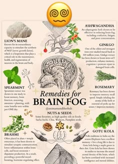 Herb Benefits, Herbal Education, Alkaline Vegan, Healing Remedies, Journal Stuff, Adaptogenic Herbs