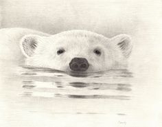 a drawing of a polar bear swimming in the water with his head above the water's surface