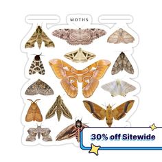 moths and moths stickers on a white background with the words moths 30 % off site