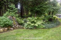 a lush green forest filled with lots of trees and plants next to a stone wall