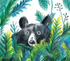 a drawing of a bear surrounded by plants