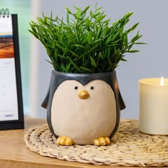 a potted plant with a penguin face sitting on a table next to a candle