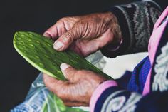 an older person holding a green leaf in their hands