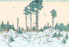 a drawing of some trees in the snow