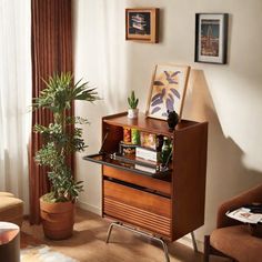 a living room filled with furniture and a potted plant