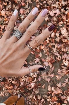 Autumn Skittle Nails, Fall Color Combo Nails, Multi Color Nails Fall, Fall Multicolor Nails Acrylic, Different Color Fall Nails, All Nails Different Colors, Short Oval Nails Ideas Fall, Rounded Fall Nails, Neutral Valentines Day Nails