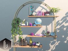 three shelves with plants, rocks and other items on them against a gray wall background