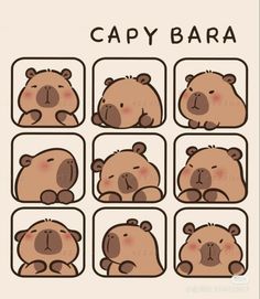 disegno cute capibara coccolosi e cicciotti Yas Queen, Kitty Cartoon, Seni Dan Kraf, Sticker Ideas, Cute Kawaii Drawings, Cute Doodle Art