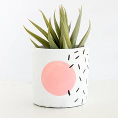 a potted plant sitting on top of a white table next to a pink ball