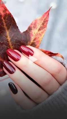 No description. Dusty Pink Nails, Unique Acrylic Nail Designs, Plum Nails, Minimal Nails Art, Hippie Nails, Short Gel Nails, Fall Gel Nails, Finger Nail Art, Fall Nail Art Designs