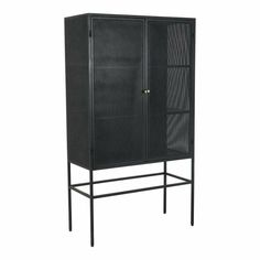 40 Inch Cabinet Black Industrial Bookcases LOOMLAN By Moe's Home Dermatologist Office, Mesh Cabinet, Tall Doors, Industrial Country, Iron Cabinet, Industrial Cabinet, Iron Storage, Regal Design, Black Industrial