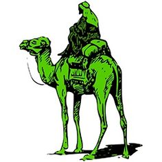 a man riding on the back of a green camel in front of a white background