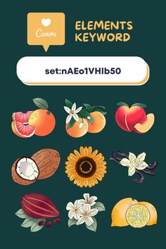 Canva Elements Keyword - Fruits and Florals Detailed Illustration Detailed Illustration, Graphic Design Photoshop, Canva Tutorial, Paper Designs, Profile Page