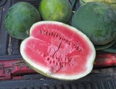 the watermelon is cut in half on the grill