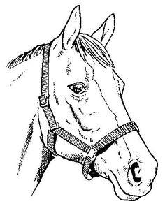 a drawing of a horse's head in black and white, with the words guide patterns