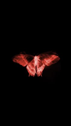 a large red butterfly flying through the dark sky