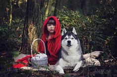 Red Riding Hood & The Wolf | Photo Shoot Red Riding Hood Cosplay, Fall Baby Pictures, Toddler Photoshoot, Photography Mini Sessions, Wolf Photos, My Husky, Horses And Dogs