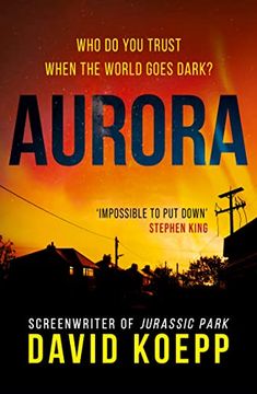 the cover of aurora by david koepp, with an orange sky in the background