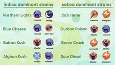 Indica vs. Sativa vs. Hybrid Chart & Effects | RISE Dispensaries Magic Herbs, Pretty Pens, Pain Free, Life Skills, The Basics, Benefits, Herbs, Health