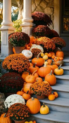 pumpkins and gourds on the steps of a house with white pillars in the background