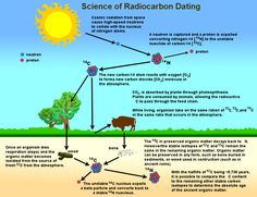 the science of radioactive dating is shown in this diagram, as well as an image of animals and plants