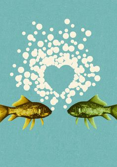 two fish facing each other with bubbles in the shape of a heart