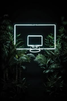 a basketball hoop lit up in the dark with palm trees around it at night time