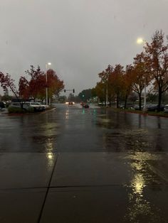 a wet street with cars parked on it