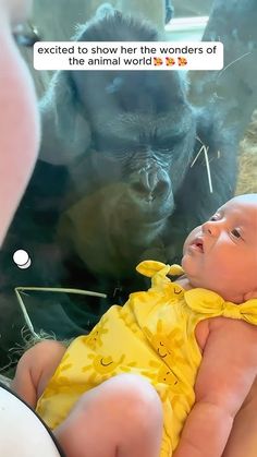 a baby in a yellow dress is looking at a gorilla with an expression on its face