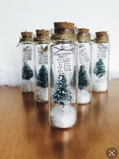 five glass bottles filled with snow and trees