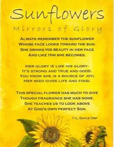 sunflowers are shown in front of a yellow background with the words,'sunflowers of glory always remembers the sunflower whose looks toward the sun