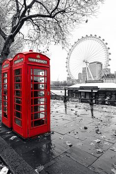 a red phone booth sitting next to a tree